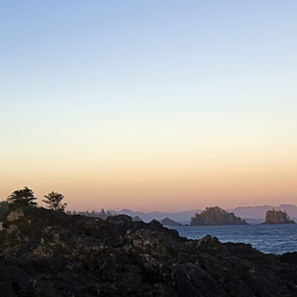 Meet your Posher, Shahntae